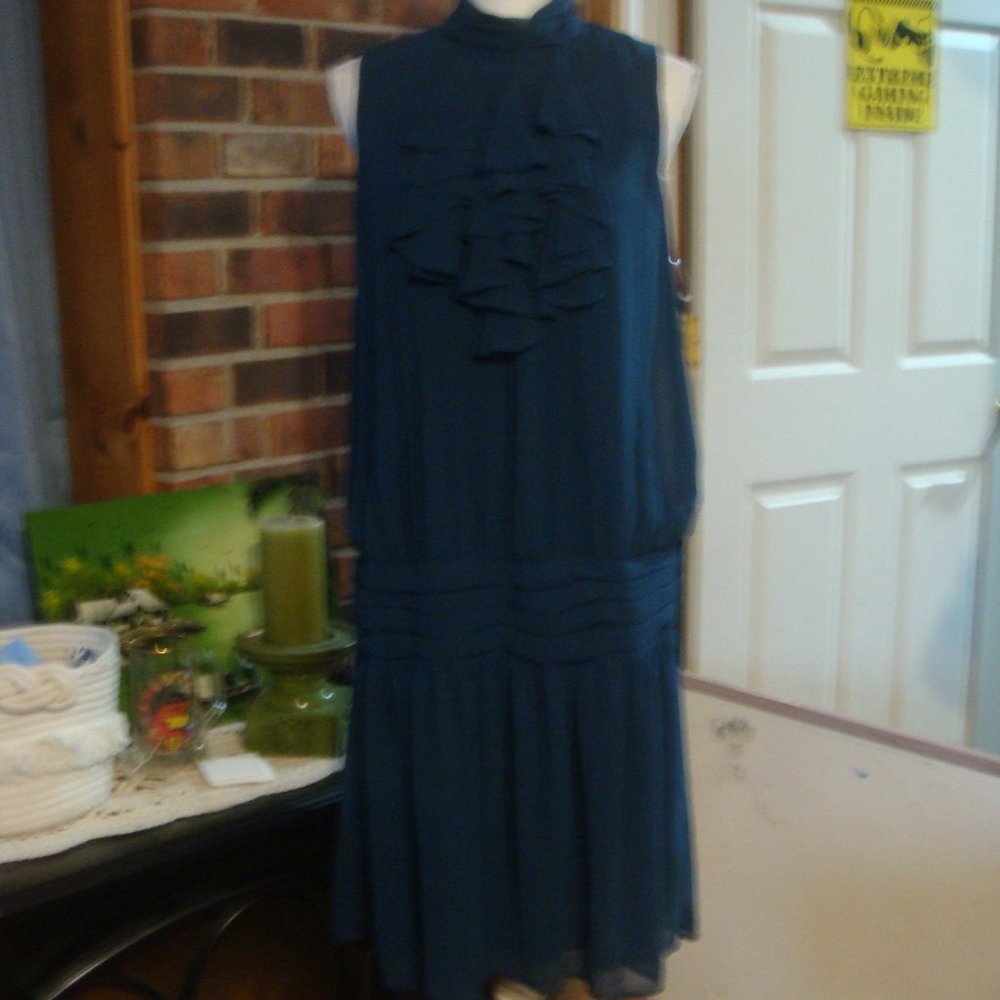 Sinequanone Ruffle Front Drop Waist Sleeveless Dress 10